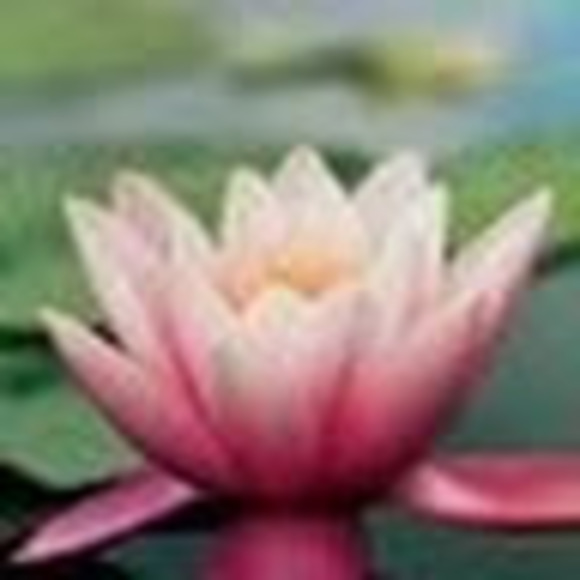 Meet your Posher, Megan - Picture 1 of 1